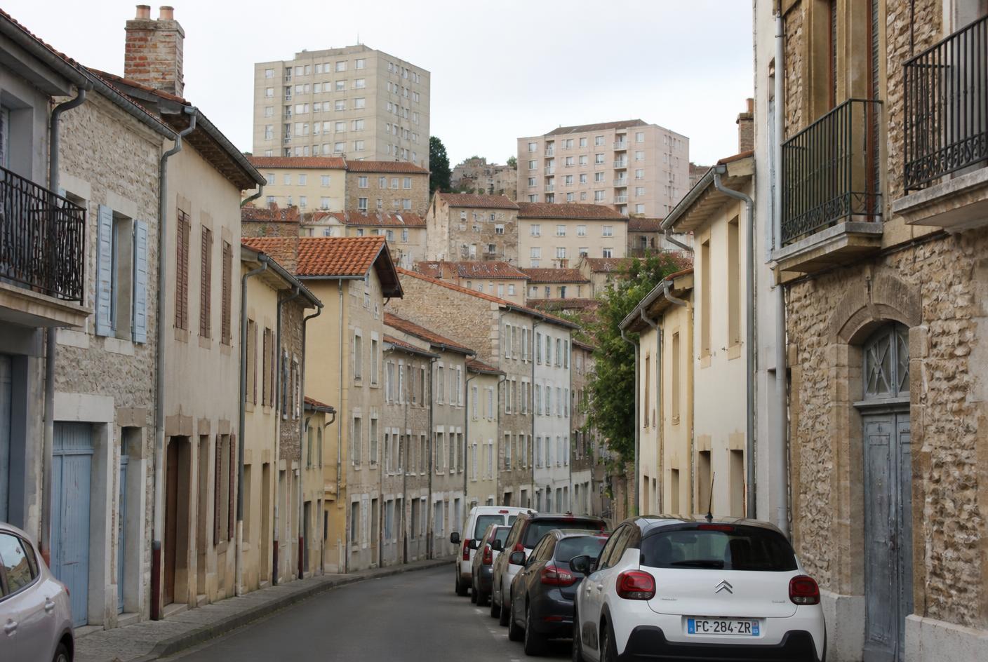Rue résidentielle de Bron : petits collectifs des années 1960, pavillons en meulière et arbres d'alignement